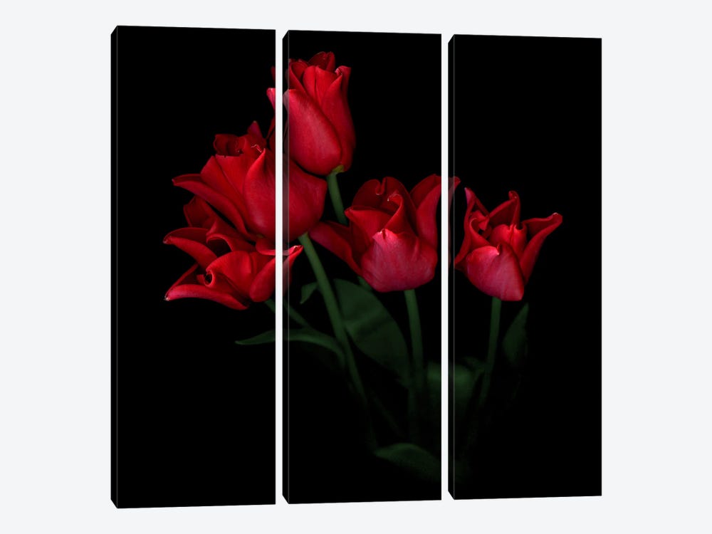A Tightly Grouped Red Tulip Bouquet by Magda Indigo 3-piece Art Print