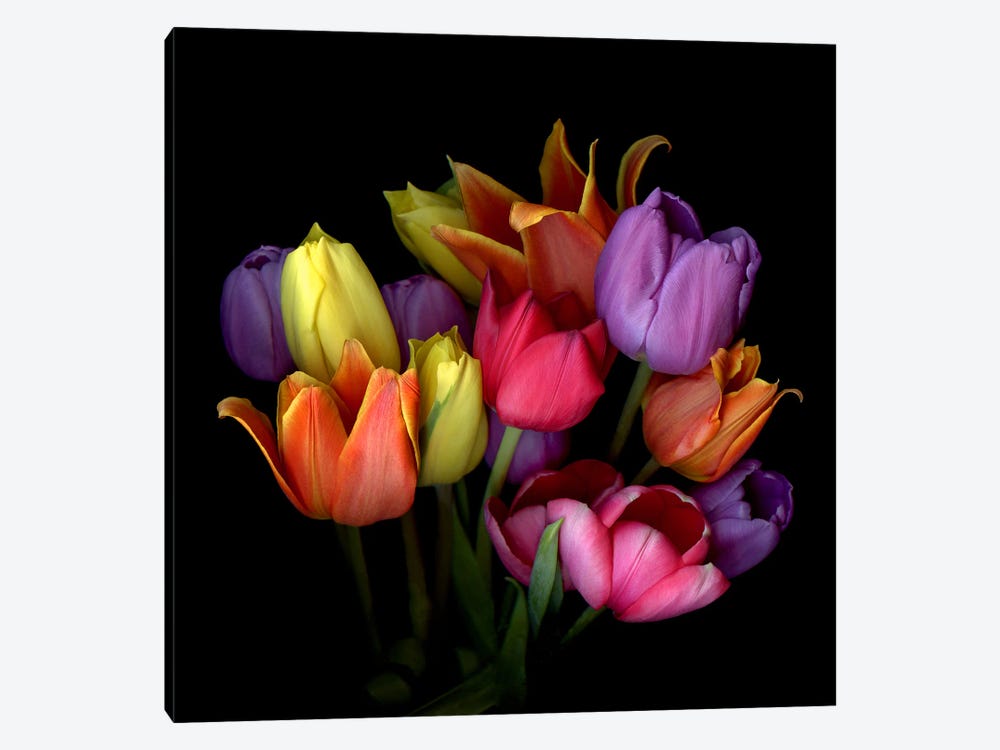Bouquet Of Orange, Yellow, Purple And Pink Tulips by Magda Indigo 1-piece Canvas Art