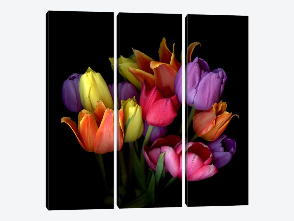 Bouquet Of Orange, Yellow, Purple And Pink Tulips by Magda Indigo 3-piece Canvas Wall Art