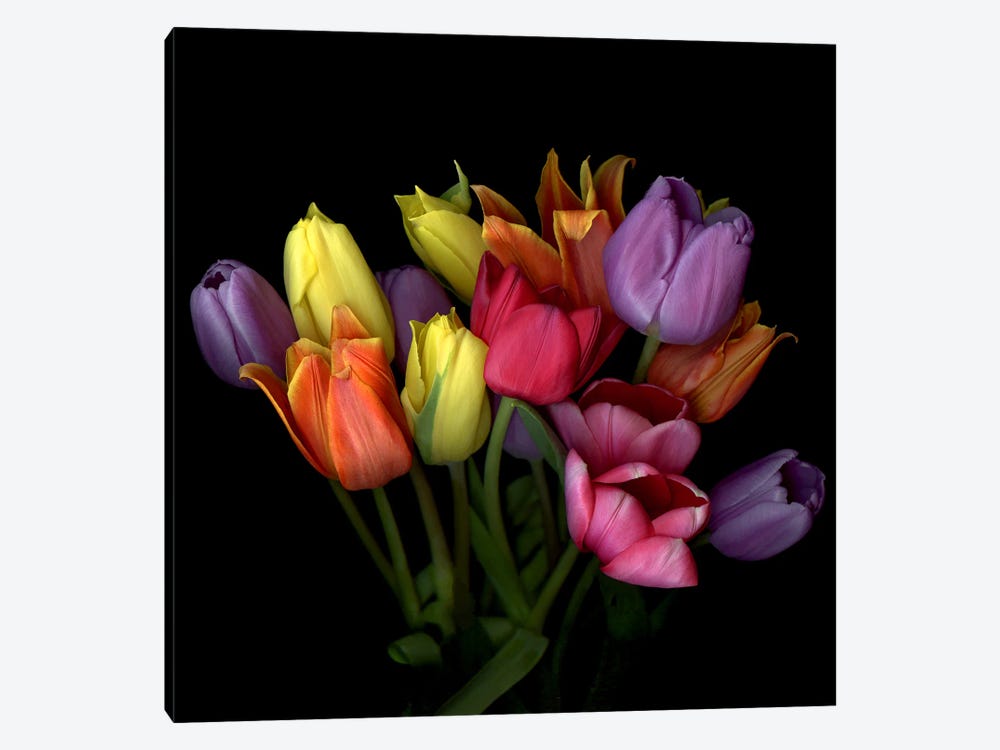 Bouquet Of Orange, Yellow, Purple, Red And Pink Tulips by Magda Indigo 1-piece Canvas Print