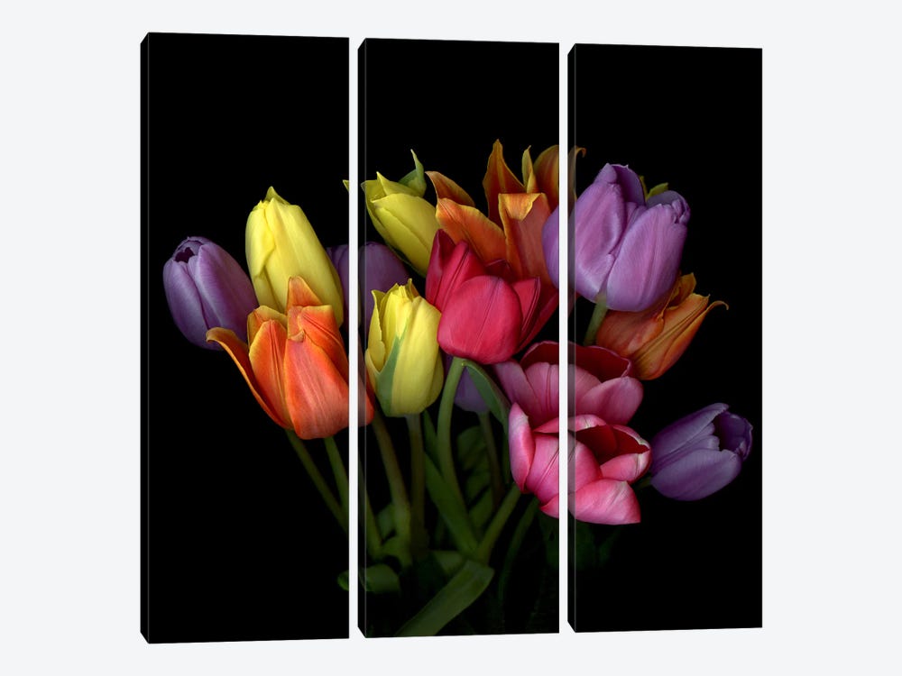 Bouquet Of Orange, Yellow, Purple, Red And Pink Tulips by Magda Indigo 3-piece Canvas Art Print