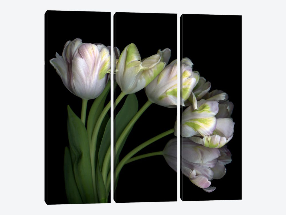 Pale Pink Tulip Bouquet by Magda Indigo 3-piece Art Print