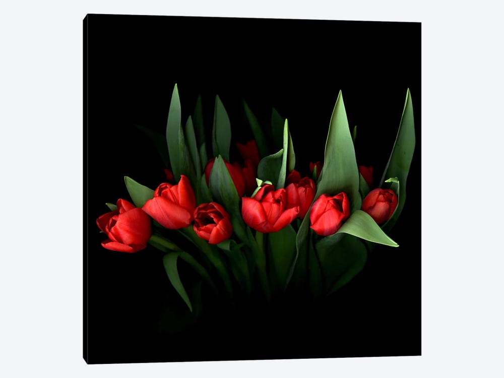 Red Tulip Bouquet With Green Leaves by Magda Indigo 1-piece Canvas Wall Art