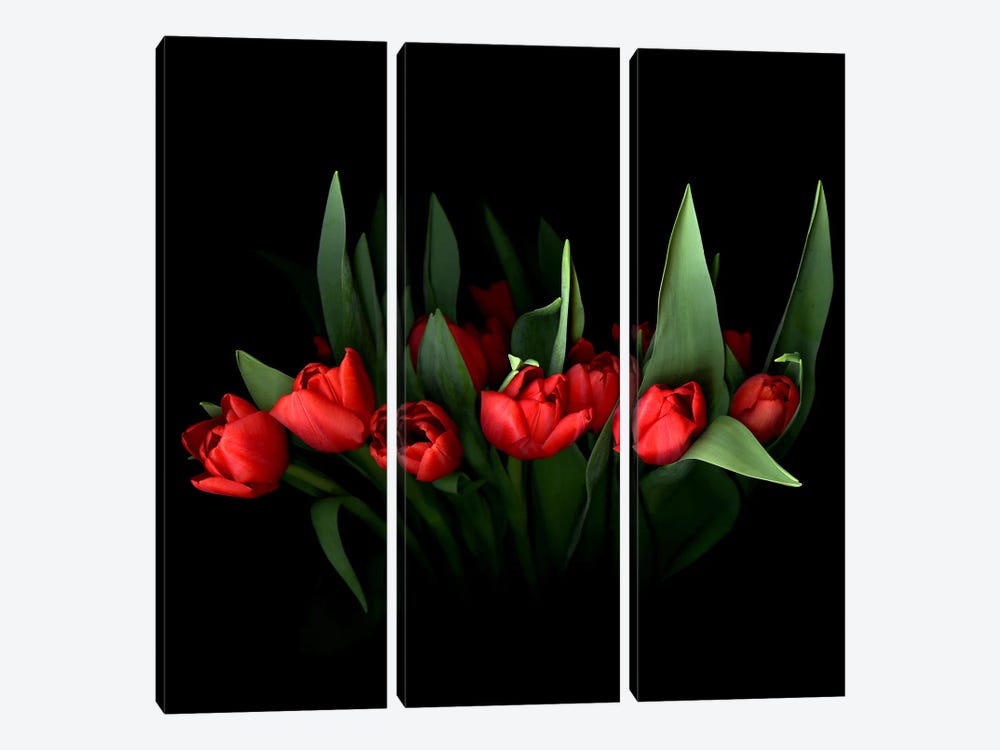 Red Tulip Bouquet With Green Leaves by Magda Indigo 3-piece Canvas Wall Art