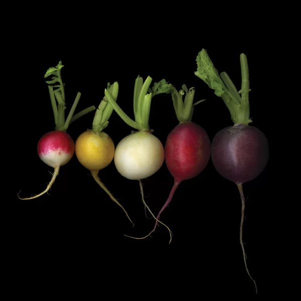 Large Art for Kitchen - Canvas Prints: Old Variations by Magda Indigo