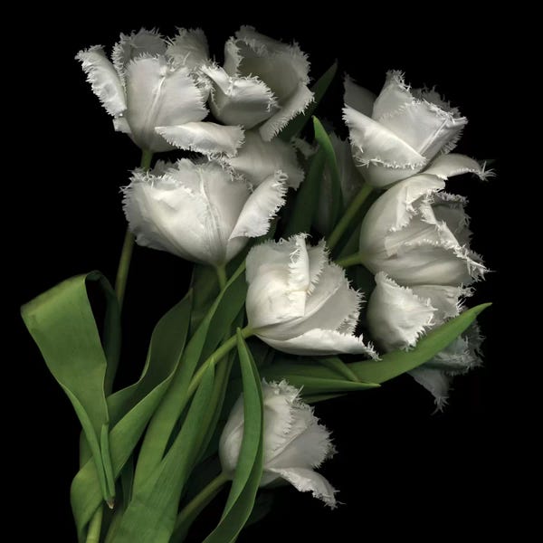 Still Life Photography: Reduced For Sale by Magda Indigo