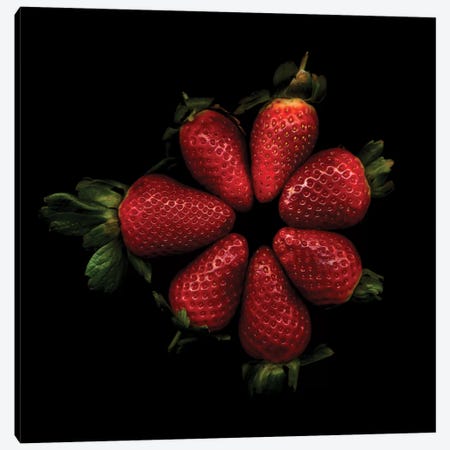 Shiny Strawberries Canvas Print #MAG66} by Magda Indigo Canvas Print