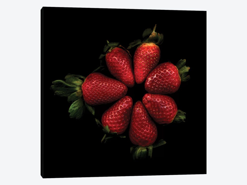 Shiny Strawberries by Magda Indigo 1-piece Canvas Artwork
