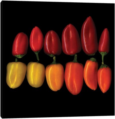 The Chiquinos Canvas Art Print - Pepper Art