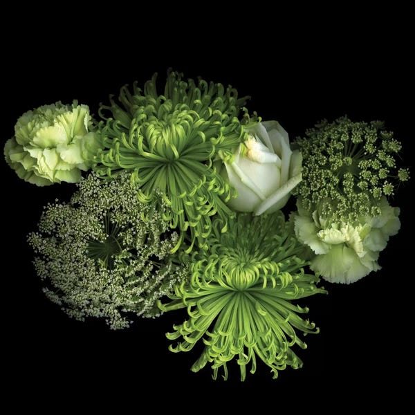 Still Life Photography: The Great Green And White Finale by Magda Indigo