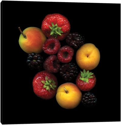 Tutti Frutti Canvas Art Print - Berry Art