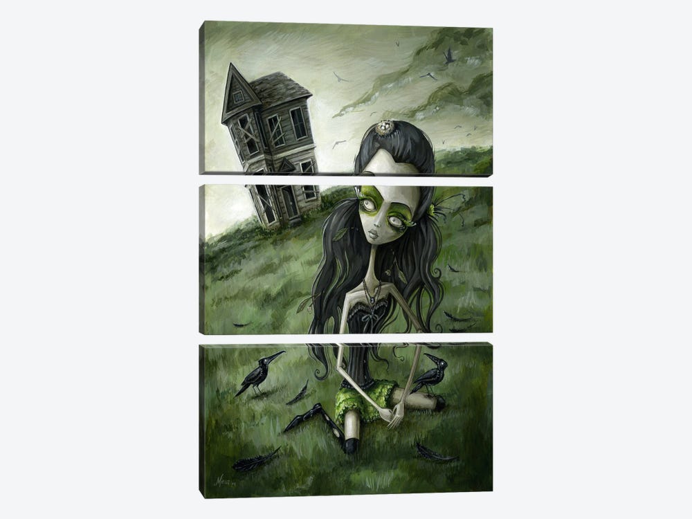 Abandoned In The Field Of Crows by Megan Majewski 3-piece Canvas Wall Art