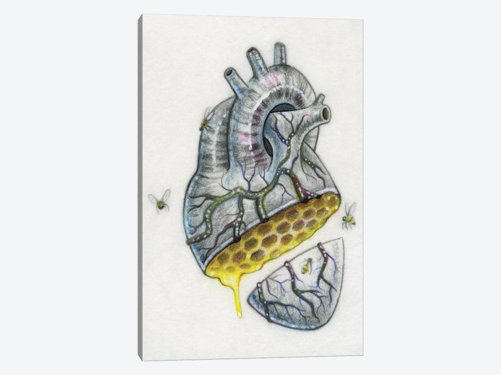 Honey Heart by Megan Majewski 1-piece Canvas Artwork