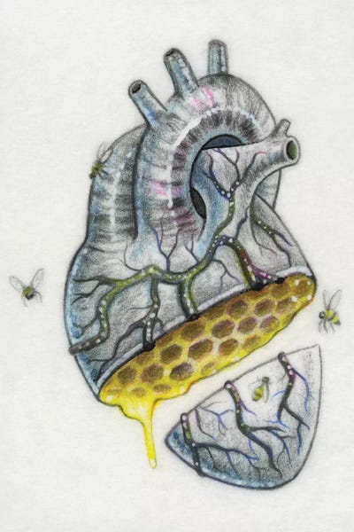 Hearts: Honey Heart by Megan Majewski