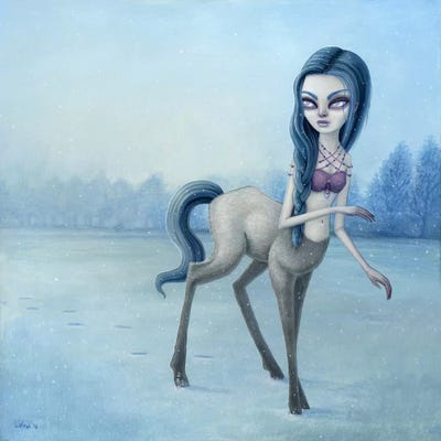 Sagittarian Winter by Megan Majewski canvas print