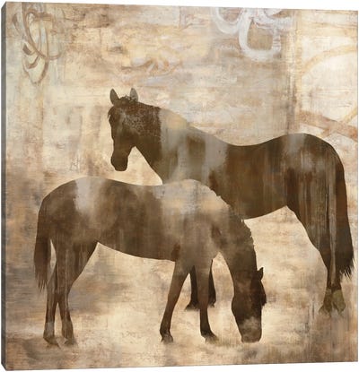 Equine I Canvas Art Print