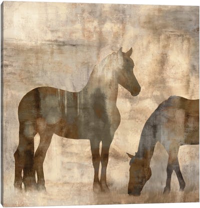 Equine II Canvas Art Print