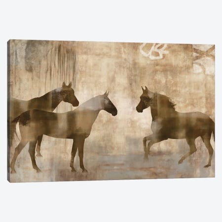 Horse Sense Canvas Print #MAN3} by Jason Mann Canvas Art Print