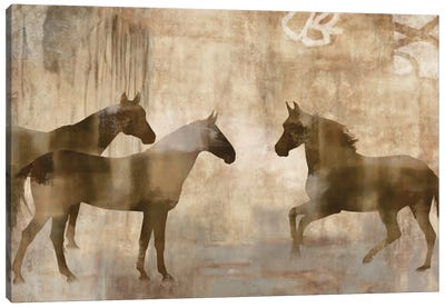 Horse Sense Canvas Art Print