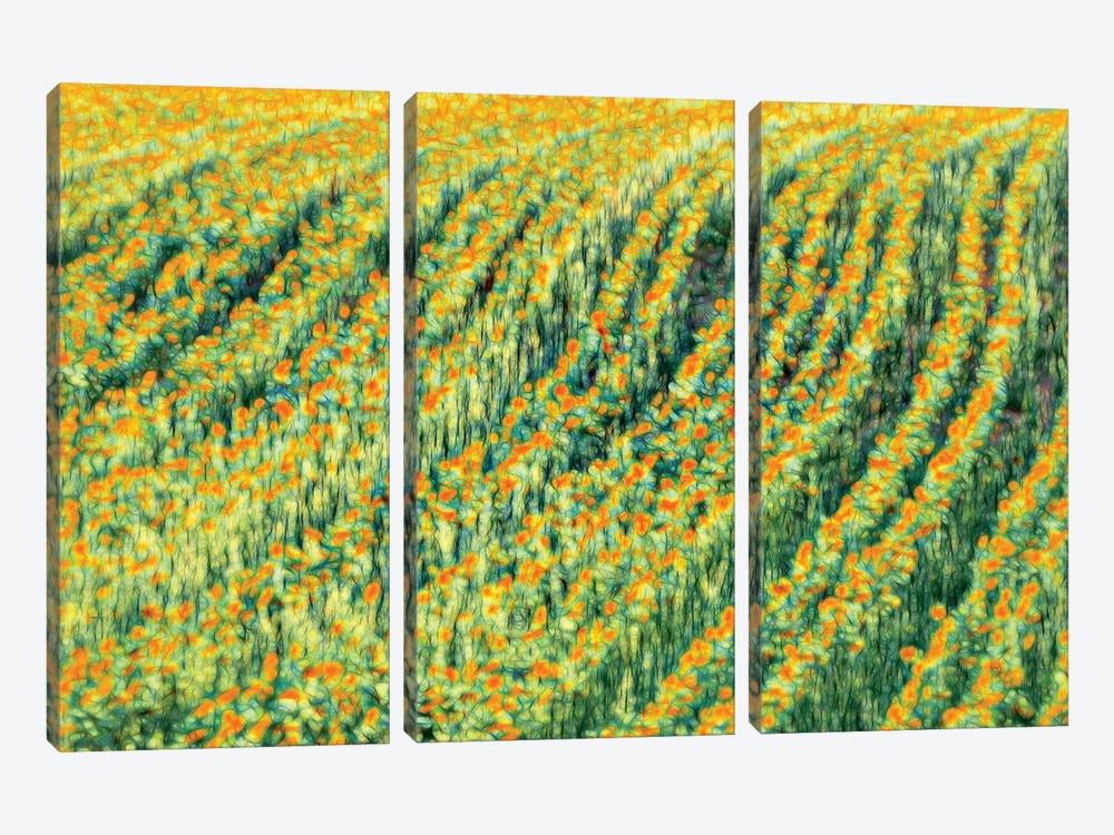 Abstract Sunflowers 3-piece Canvas Art