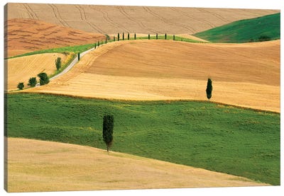 Tuscany Land Canvas Art Print - Marco Carmassi
