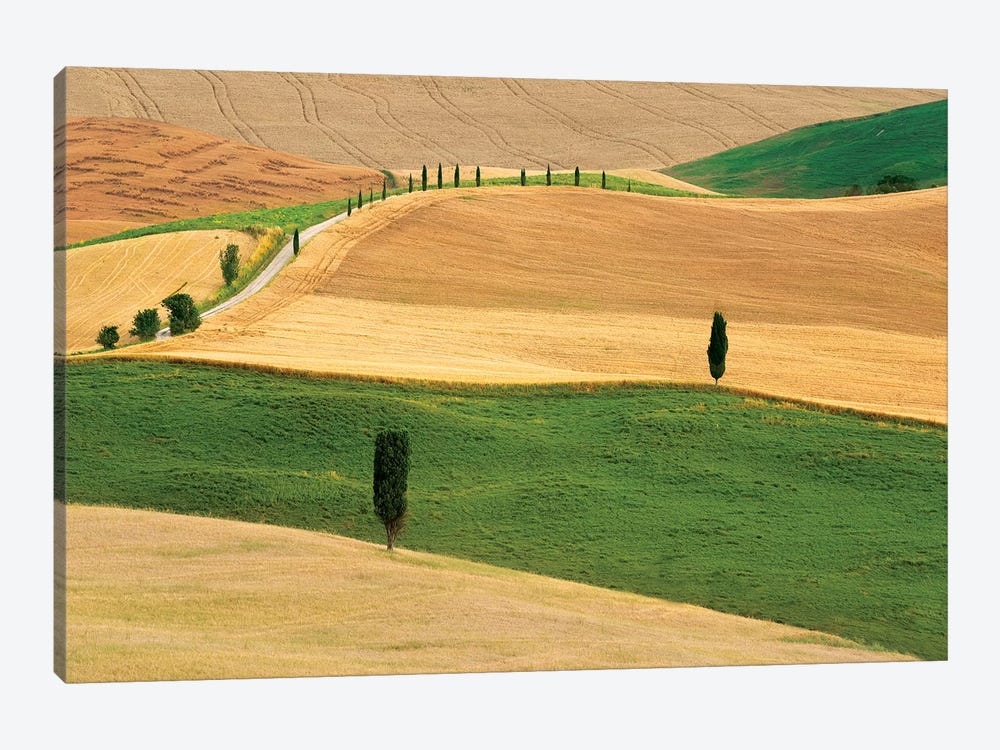 Tuscany Land by Marco Carmassi 1-piece Canvas Artwork