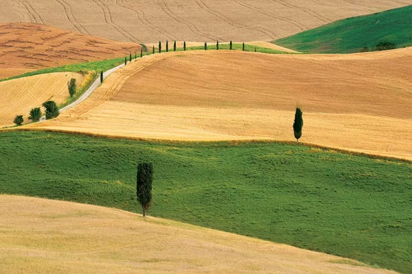 Marco Carmassi: Tuscany Land by Marco Carmassi