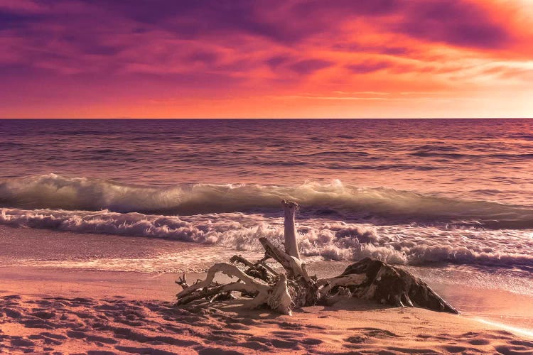 Sunset From The Beach by Marco Carmassi wall art