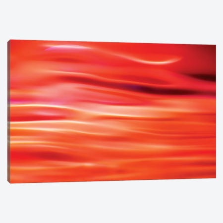 Red Abstract Canvas Print #MAO111} by Marco Carmassi Canvas Print