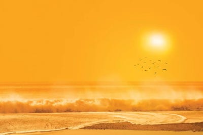 Birds Flying Over Sea by Marco Carmassi multi panel art