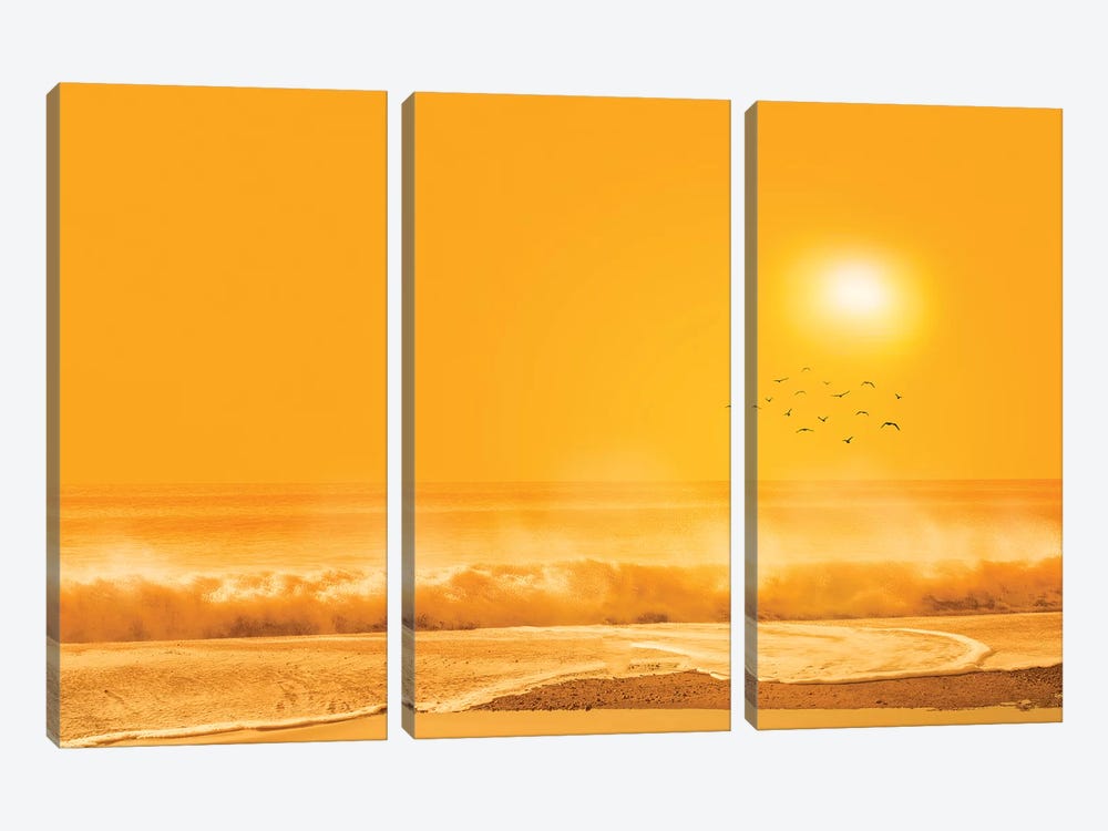 Birds Flying Over Sea by Marco Carmassi 3-piece Canvas Print