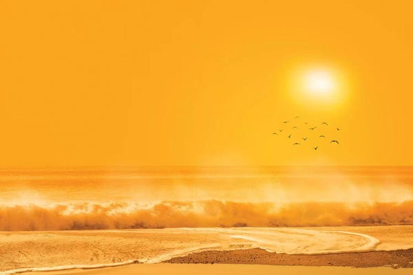 Marco Carmassi: Birds Flying Over Sea by Marco Carmassi