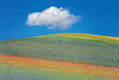 Summer Flowers by Marco Carmassi multi panel art