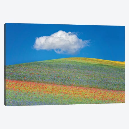 Summer Flowers Canvas Print #MAO114} by Marco Carmassi Canvas Artwork