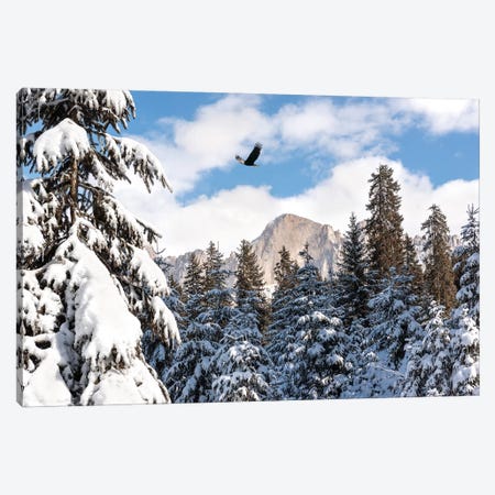 Free As A Bird Canvas Print #MAO116} by Marco Carmassi Canvas Artwork