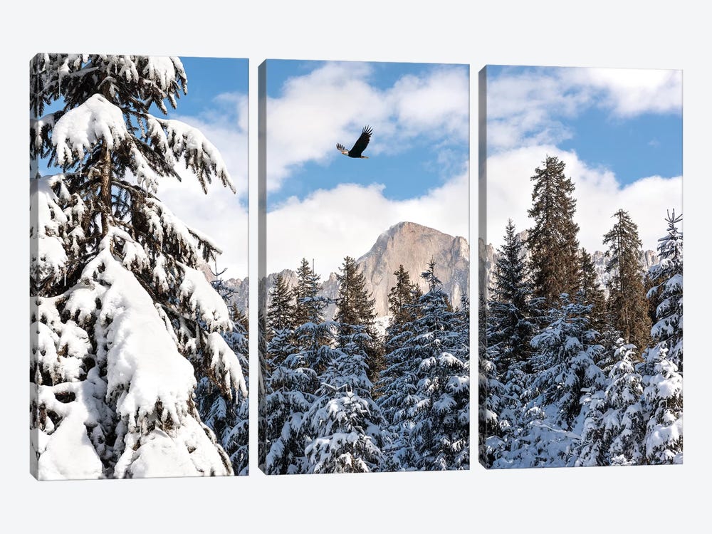 Free As A Bird by Marco Carmassi 3-piece Canvas Print