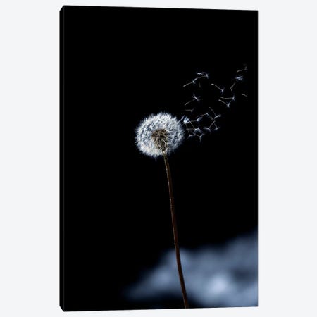 Just A Wind Blow Canvas Print #MAO121} by Marco Carmassi Canvas Artwork