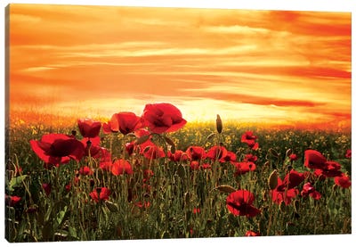 Red Canvas Art Print - Sunrises & Sunsets Scenic Photography