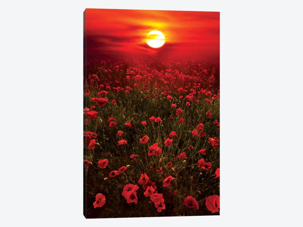 Warm Sunset by Marco Carmassi 1-piece Canvas Artwork