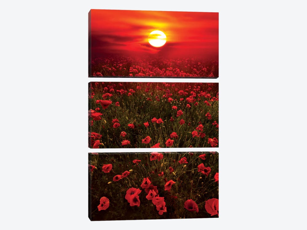 Warm Sunset by Marco Carmassi 3-piece Canvas Art