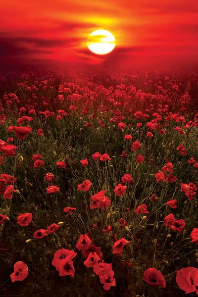 Hyperreal Landscape Photography: Warm Sunset by Marco Carmassi