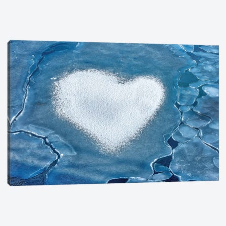 Heart Of Ice Canvas Print #MAO151} by Marco Carmassi Art Print