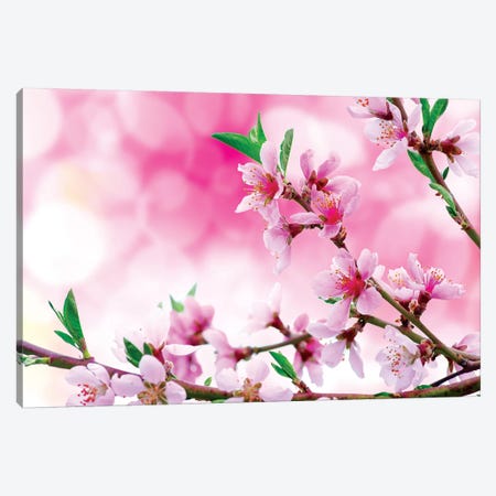 It's Spring Canvas Print #MAO157} by Marco Carmassi Canvas Art