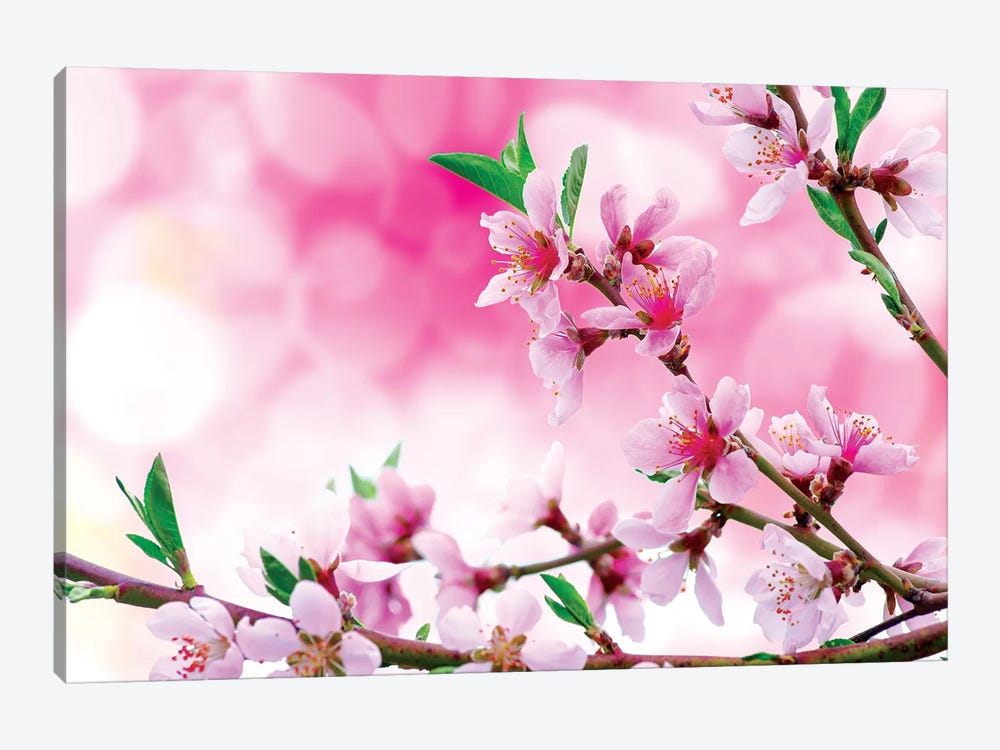 It's Spring by Marco Carmassi 1-piece Canvas Wall Art