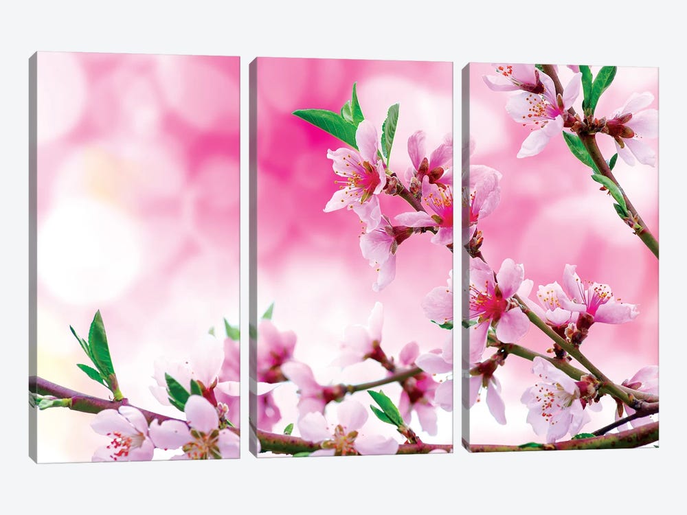 It's Spring by Marco Carmassi 3-piece Canvas Artwork