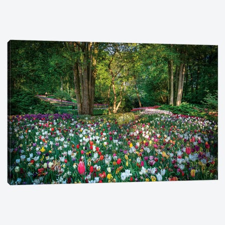 Paradise Of Flowers Canvas Print #MAO170} by Marco Carmassi Canvas Print