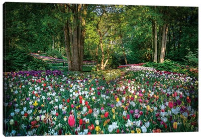 Paradise Of Flowers Canvas Art Print - Tulip Art