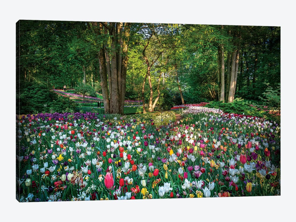 Paradise Of Flowers by Marco Carmassi 1-piece Canvas Print