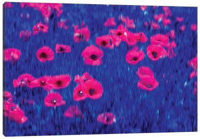 Poppies Impressions Canvas Art Print - Marco Carmassi
