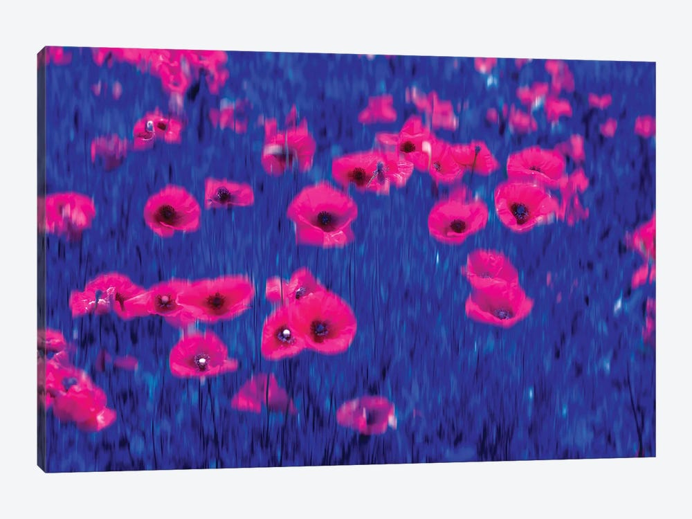 Poppies Impressions by Marco Carmassi 1-piece Canvas Artwork
